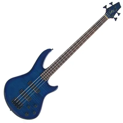 Godin 베이스기타 BG-Solid